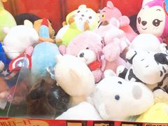 -顽主轰趴馆团建ktv桌游狼人杀(望京店)