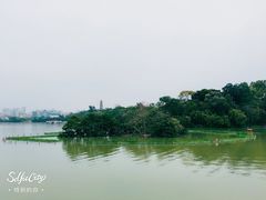 景点-惠州西湖丰渚园