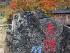-龙道沟景区