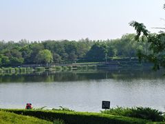 -北坞公园