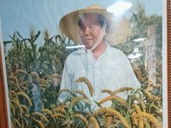 -人民公社大食堂(顺义总店)