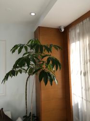 -HEYAN荷妍专业脱毛连锁机构