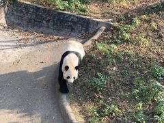 -无锡动物园·太湖欢乐园