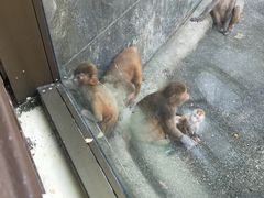 -宁波野生动物园