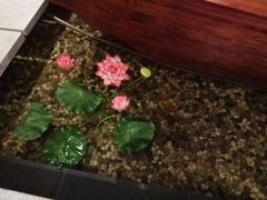 -碧露轩·大益茶体验馆(镇江路店)