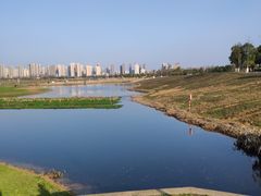 -洋湖国家湿地公园