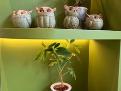 -小西家作•精致蛋糕(富力爱丁堡店)