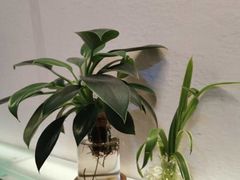 -红小满休闲餐厅(十全街店)