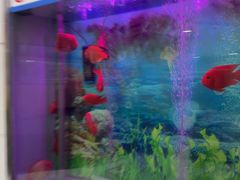 -雅悦齿科(顾村公园店)