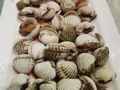 血蛤-华盛丰温州大排档(东三环南路店)