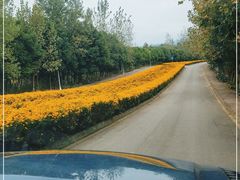 -紫颐香薰山谷景区