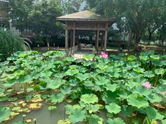 -苏州香山国际大酒店