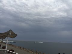 -碧海金沙
