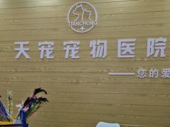 -天宠宠物医院24小时·急重症诊疗中心·全科·腔镜特色(和平分院)