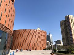 -中国宋庆龄青少年科技文化交流中心