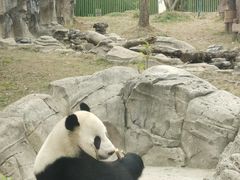 -武汉动物园