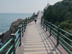 -广东惠东海龟国家级自然保护区