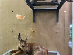 -陕西自然博物馆