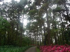 -金山植物公园