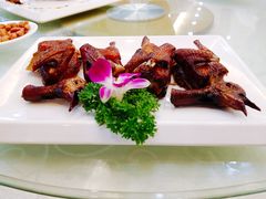红烧乳鸽-顺德佬(石厦店)