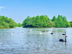 -上海野生动物园