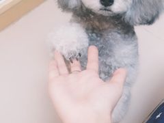 -宠物家(角门东店)