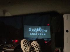 -枫花园汽车电影院(朝阳公园店)