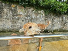 -南京珍珠泉风景区
