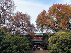 -灵谷景区