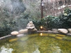 -天目湖涵田半山温泉