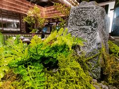 -滇铺子·云南特色菜·第九届野生菌美食节(曲靖万达店)