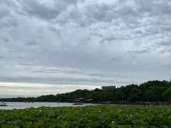 -西湖游船