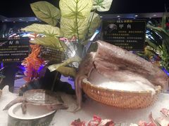 -SEA西雅图海鲜自助餐厅(海乐世界店)