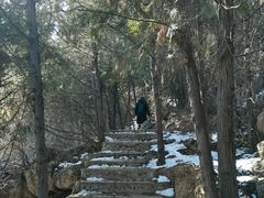 -府君山公园