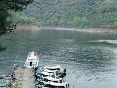 -千岛湖东南湖区
