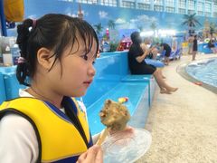 -广州融创文旅城