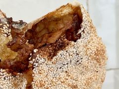 -徐记红川肉烧饼