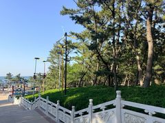 -林海公园
