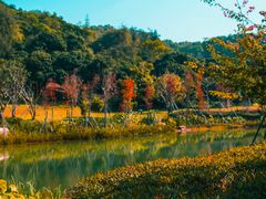 -广州市白云山风景名胜区