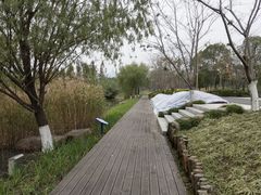 -长田漾湿地公园