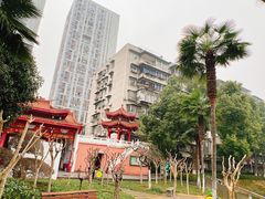-宝岛公园