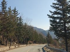 -灵山