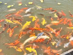 -嬉乐湾休闲旅游区