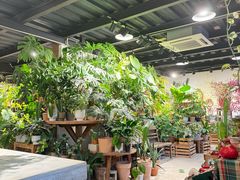 -自由生长植物工作室(深港花卉中心店)