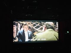 -新影联·华谊兄弟影院(望京店)