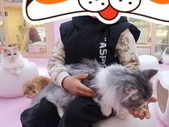 -爪爪喵星球·猫舍(前海卓越店)