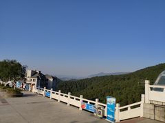 -铁山坪森林公园