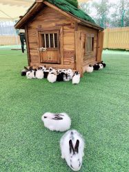 -萌宠亲子动物乐园(槐房万达店)