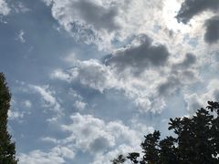 -东方熊牧场