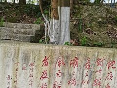 -贵阳市花溪国家城市湿地公园